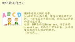bra,BRAʲô