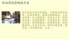 那个学校有摄影专业,职业学校有哪些专业