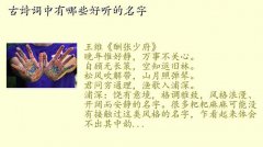 唐诗中最唯美的名字,古诗词中有哪些好听的名字