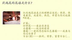 玫瑰的花语,玫瑰花的花语是什么？
