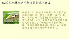 ױ,鵱Ҫױô