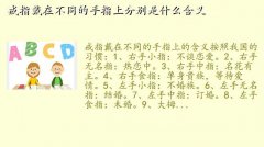 戒指戴每个手指代表什么,戒指戴在不同的手指上分别是什么含义