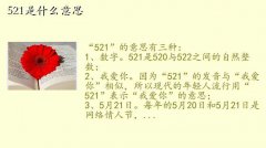 521是什么意思,521是什么意思