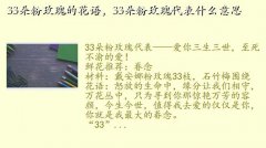 33õ廨,33õĻ33õʲô˼