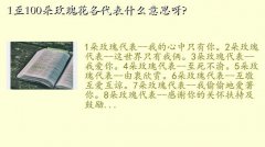 1һ100õ廨ʲô˼,1100õ廨ʲô˼ѽ?