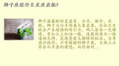 ʨʲô,ʨʲô䣿