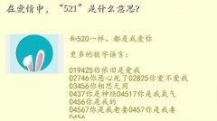 521ʲô麬,ڰУ521ʲô˼