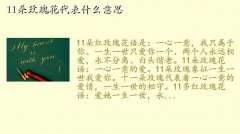 11õ廨,11õ廨ʲô˼