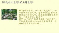 520ʲô˼,520ʲô˼?м˼?