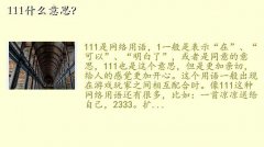 111,111ʲô˼