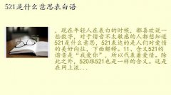 521鰵ʾʲô˼,521ʲô˼