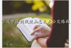 ɽ԰Ʊ