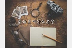 yingzheng