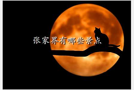 张家界有哪些景点