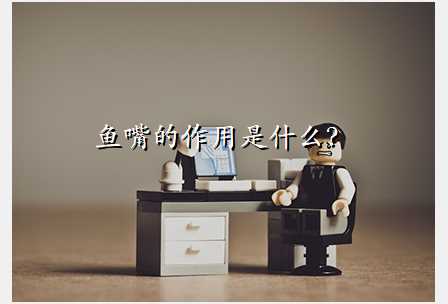 鱼嘴的作用是什么?