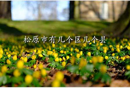 松原市有几个区几个县