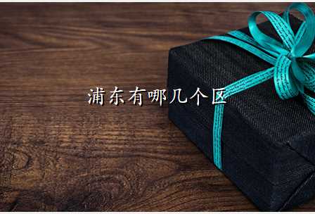 浦东有哪几个区