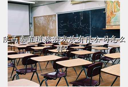 陕西秦直道旅游发展有限公司怎么样?
