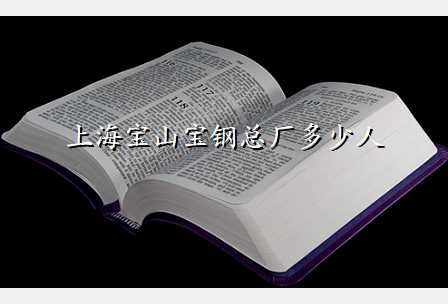上海宝山宝钢总厂多少人
