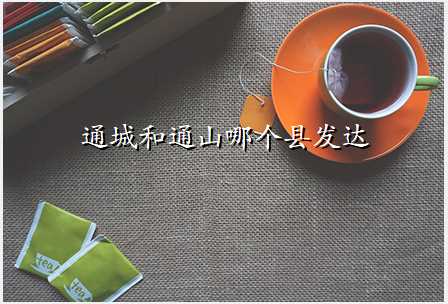 通城和通山哪个县发达