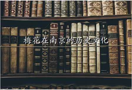 梅花在南京的历史文化