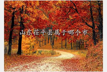 山东茌平县属于哪个市