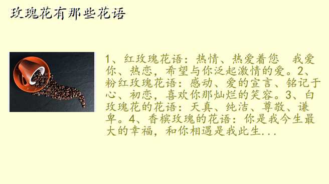 玫瑰花有那些花语