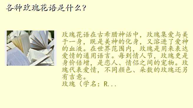 各种玫瑰花语是什么?