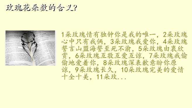 玫瑰花朵数的含义?