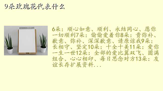 9朵玫瑰花代表什么