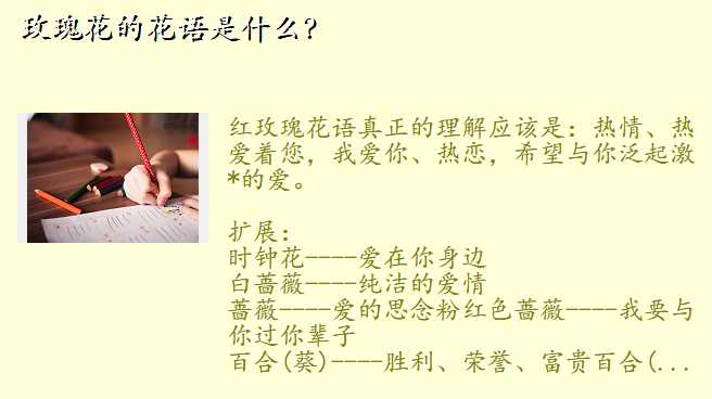 玫瑰花的花语是什么?