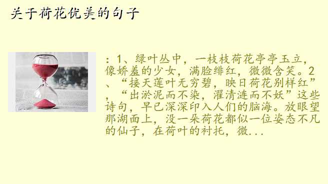关于荷花优美的句子